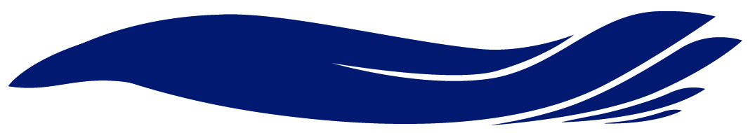 McAuley College logo wave.jpg