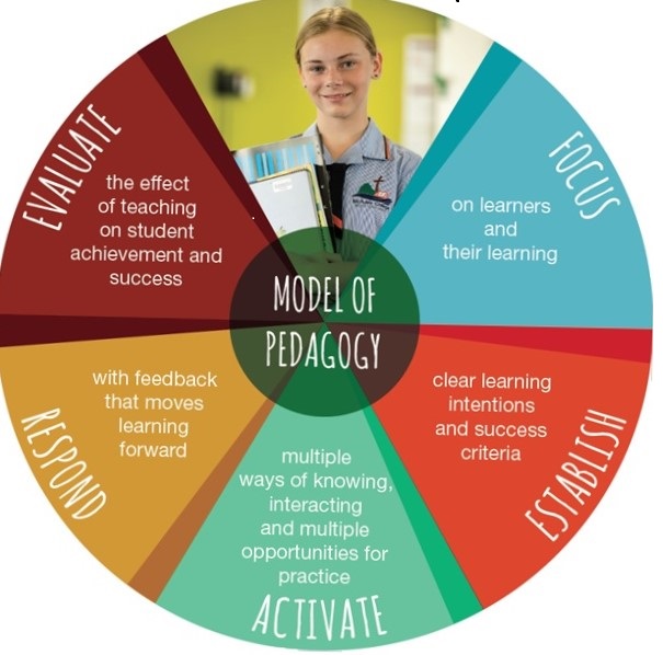 Model of Pedagogy wheel